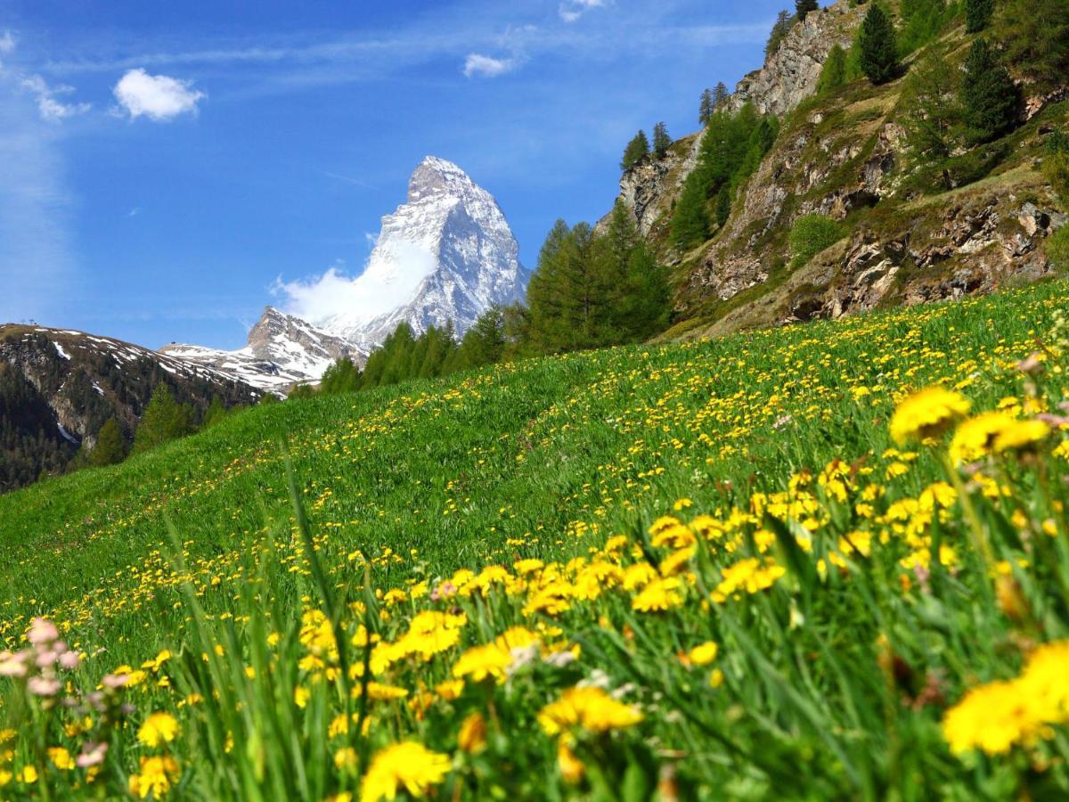 Apartment Lauberhaus By Interhome Zermatt Kültér fotó